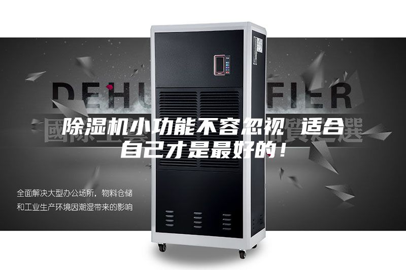 除濕機小功能不容忽視 適合自己才是最好的!