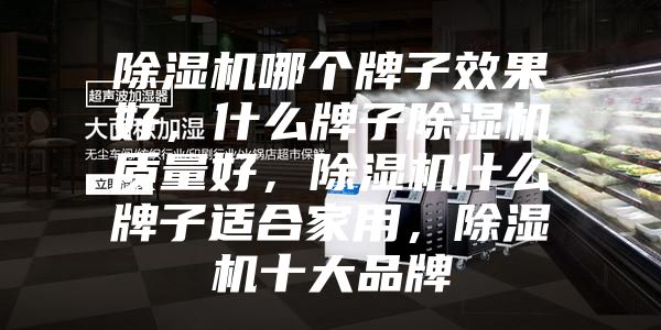 除濕機(jī)哪個(gè)牌子效果好，什么牌子除濕機(jī)質(zhì)量好，除濕機(jī)什么牌子適合家用，除濕機(jī)十大品牌