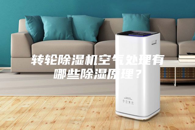 轉(zhuǎn)輪除濕機空氣處理有哪些除濕原理？