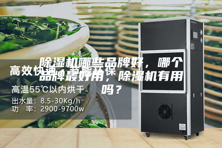 除濕機(jī)哪些品牌好，哪個(gè)品牌最好用，除濕機(jī)有用嗎？