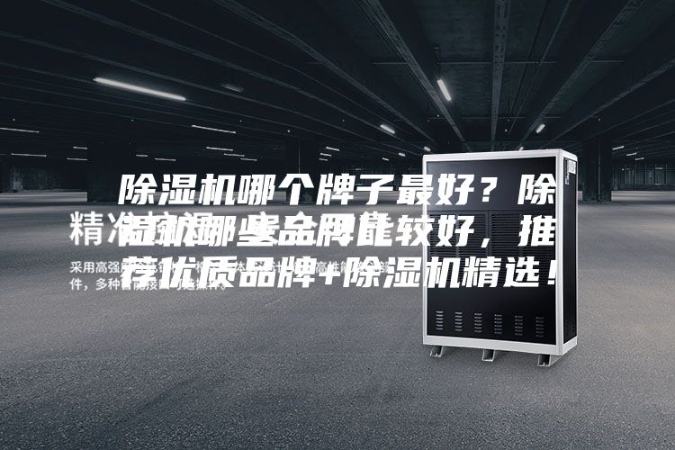 除濕機(jī)哪個(gè)牌子最好？除濕機(jī)哪些品牌比較好，推薦優(yōu)質(zhì)品牌+除濕機(jī)精選！