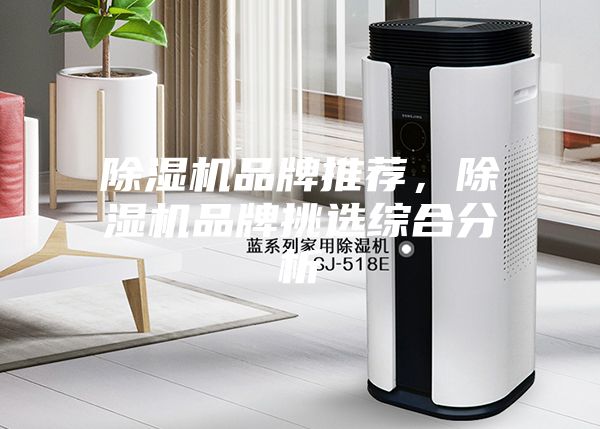 除濕機品牌推薦,除濕機品牌挑選綜合分析