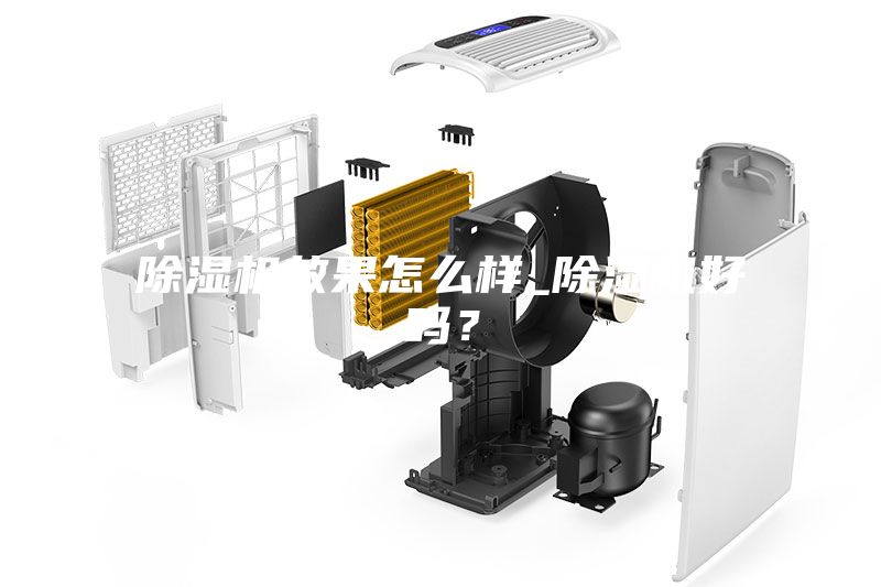 除濕機效果怎么樣_除濕機好嗎？