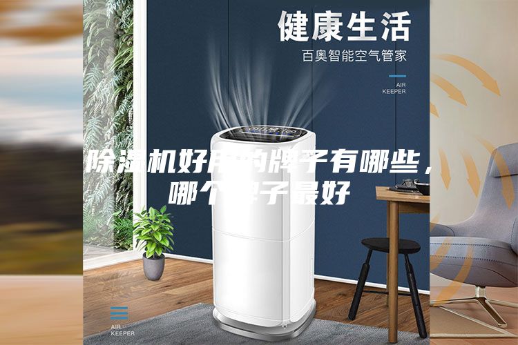 除濕機好用的牌子有哪些，哪個牌子最好