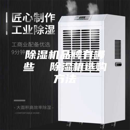 除濕機品牌有哪些 除濕機選購方法
