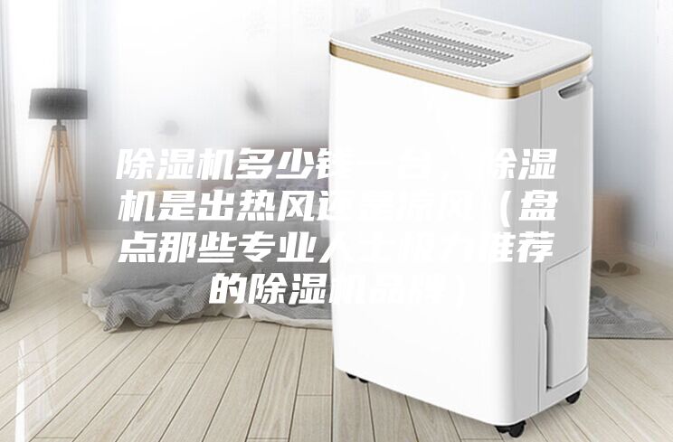 除濕機(jī)多少錢一臺，除濕機(jī)是出熱風(fēng)還是涼風(fēng)（盤點(diǎn)那些專業(yè)人士極力推薦的除濕機(jī)品牌）