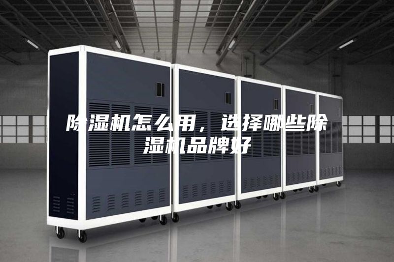 除濕機怎么用，選擇哪些除濕機品牌好