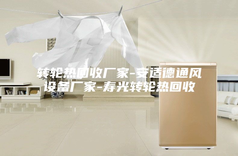 轉輪熱回收廠家-安適德通風設備廠家-壽光轉輪熱回收