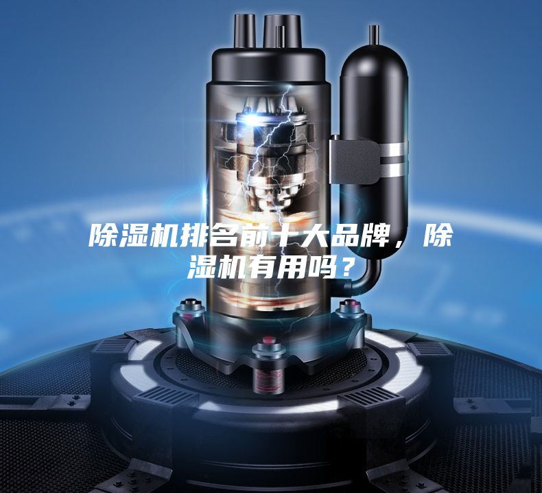 除濕機(jī)排名前十大品牌，除濕機(jī)有用嗎？