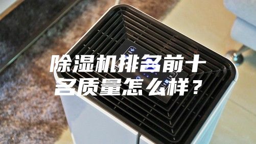 除濕機排名前十名質(zhì)量怎么樣?
