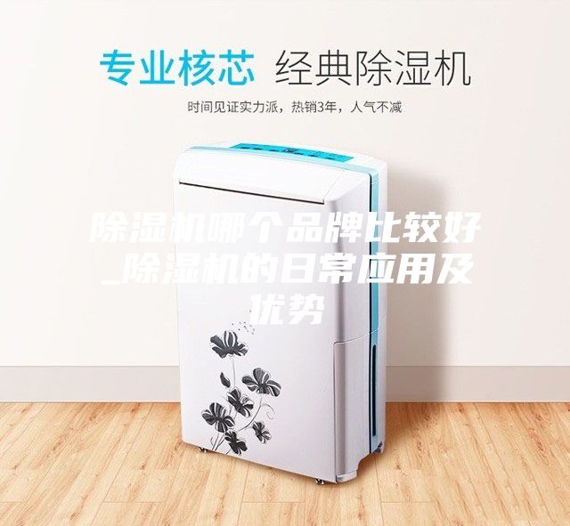 除濕機(jī)哪個(gè)品牌比較好_除濕機(jī)的日常應(yīng)用及優(yōu)勢(shì)