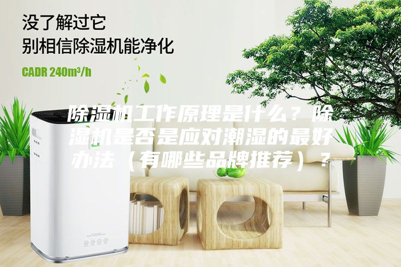 除濕機(jī)工作原理是什么？除濕機(jī)是否是應(yīng)對(duì)潮濕的最好辦法（有哪些品牌推薦）？