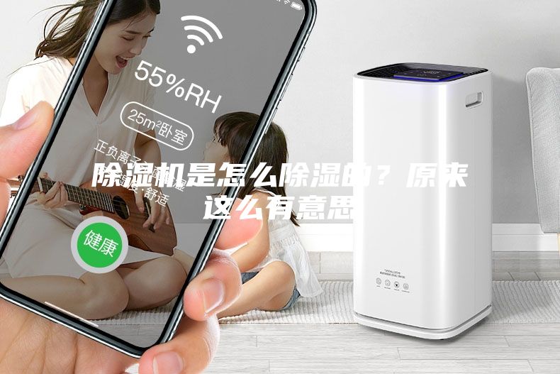 除濕機是怎么除濕的？原來這么有意思