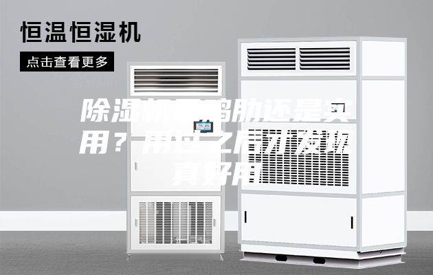 除濕機是雞肋還是實用？用過之后才發(fā)現(xiàn)真好用