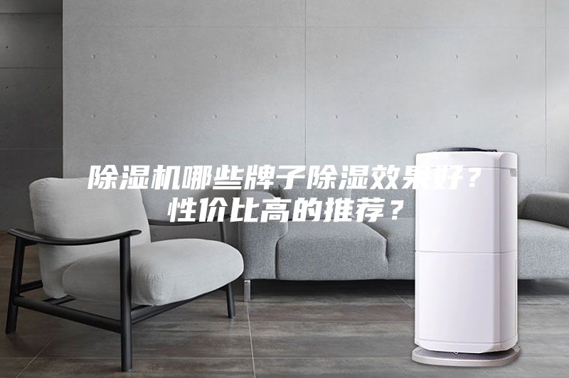 除濕機哪些牌子除濕效果好？性價比高的推薦？