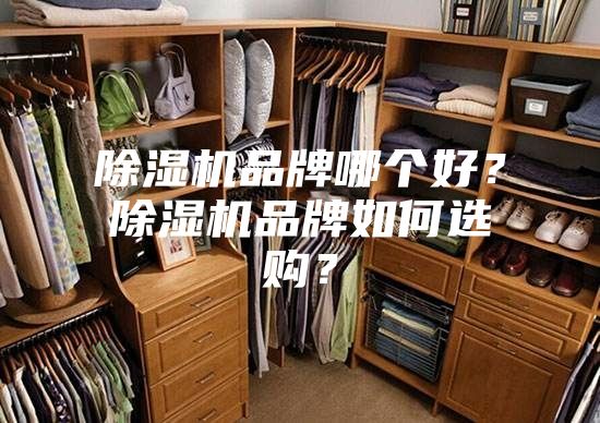 除濕機品牌哪個好？除濕機品牌如何選購？