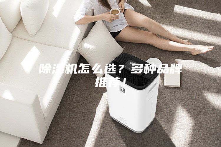 除濕機怎么選？多種品牌推薦！