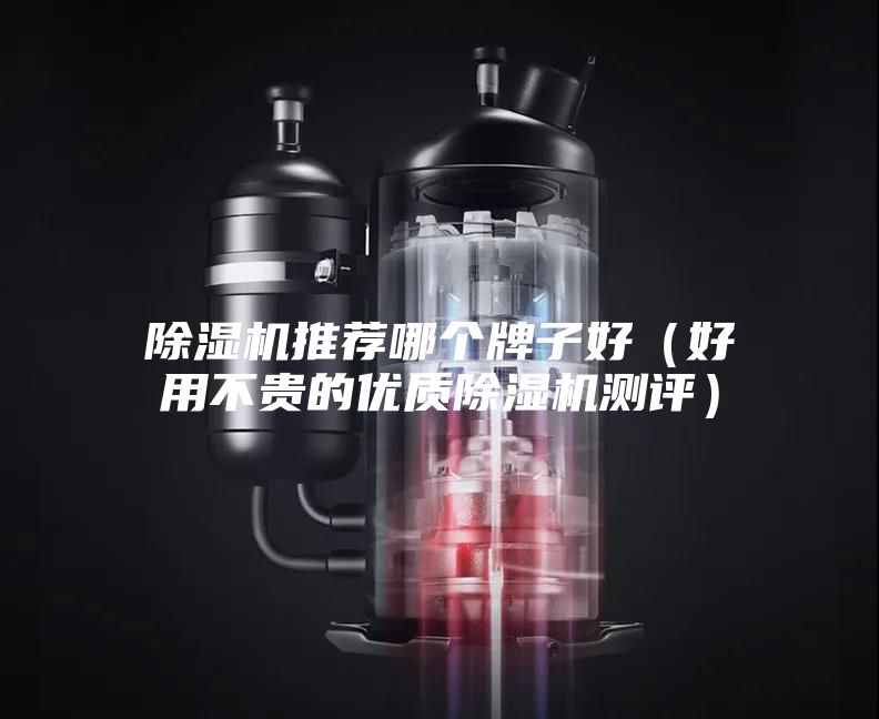 除濕機推薦哪個牌子好(好用不貴的優(yōu)質(zhì)除濕機測評)