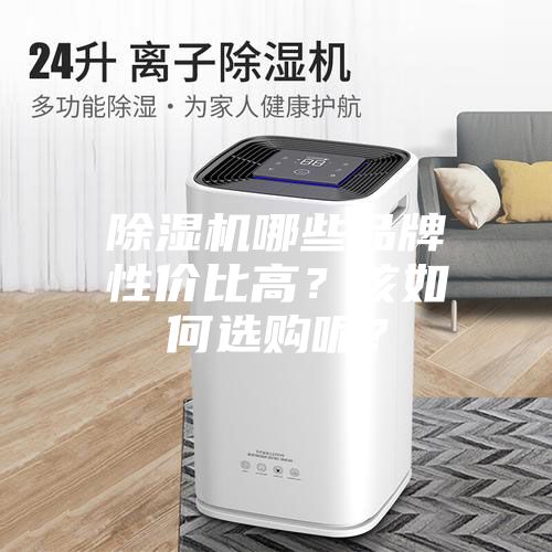 除濕機(jī)哪些品牌性價(jià)比高？該如何選購(gòu)呢？