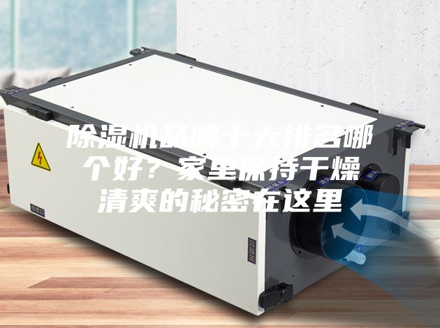 除濕機品牌十大排名哪個好？家里保持干燥清爽的秘密在這里