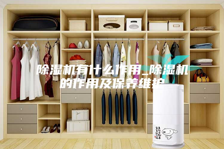 除濕機有什么作用_除濕機的作用及保養(yǎng)維護