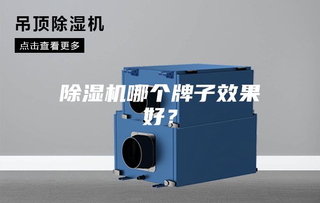 除濕機哪個牌子效果好？