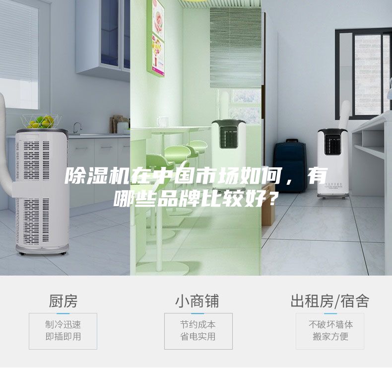 除濕機在中國市場如何，有哪些品牌比較好？