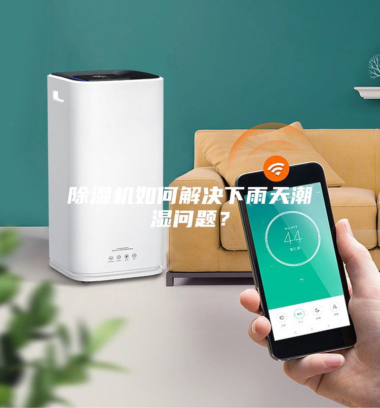除濕機如何解決下雨天潮濕問題？