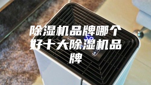 除濕機品牌哪個好十大除濕機品牌