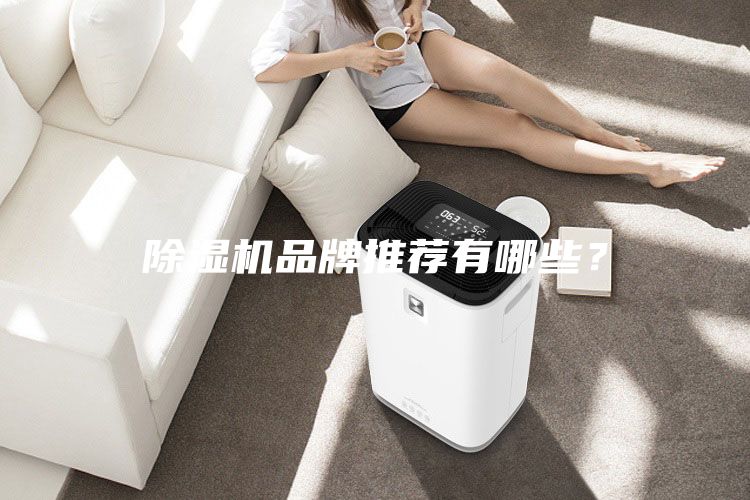 除濕機品牌推薦有哪些？