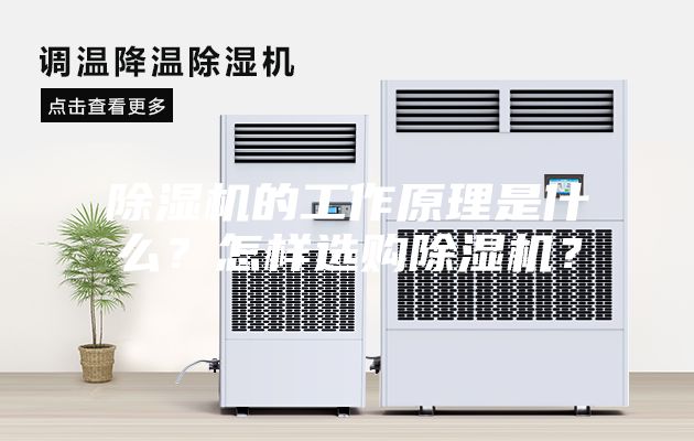 除濕機的工作原理是什么？怎樣選購除濕機？