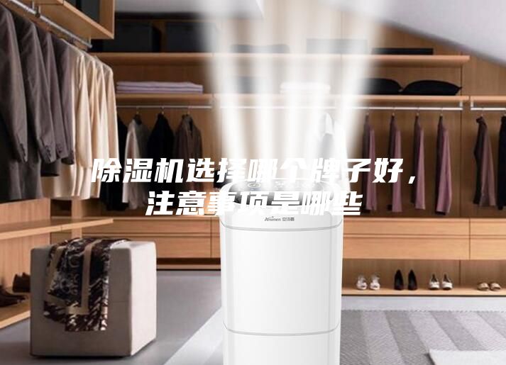 除濕機(jī)選擇哪個(gè)牌子好，注意事項(xiàng)是哪些