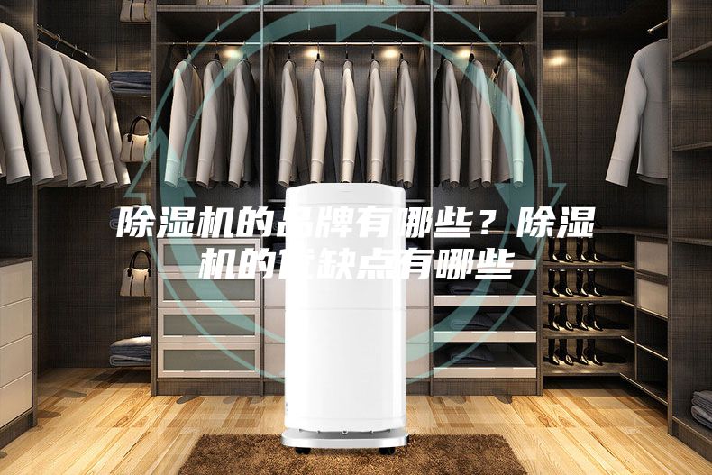 除濕機(jī)的品牌有哪些？除濕機(jī)的優(yōu)缺點(diǎn)有哪些
