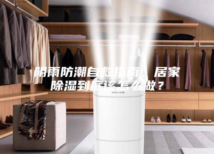 陰雨防潮自救指南，居家除濕到底該怎么做？