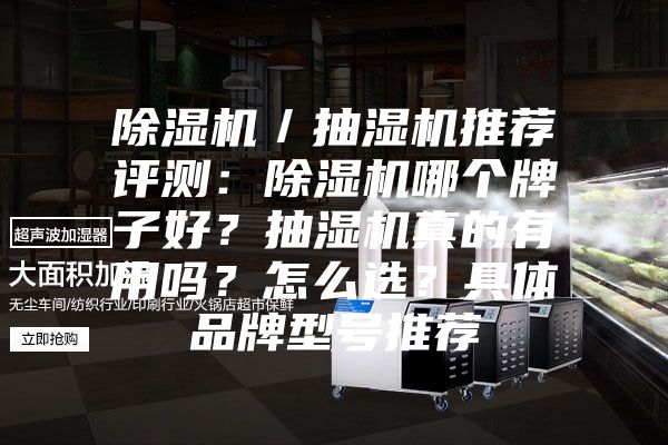 除濕機／抽濕機推薦評測：除濕機哪個牌子好？抽濕機真的有用嗎？怎么選？具體品牌型號推薦