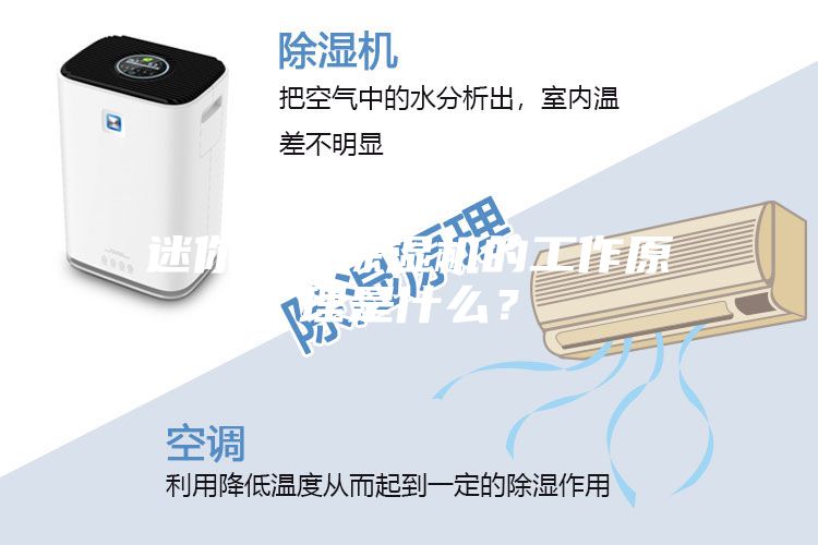 迷你家用除濕機的工作原理是什么？