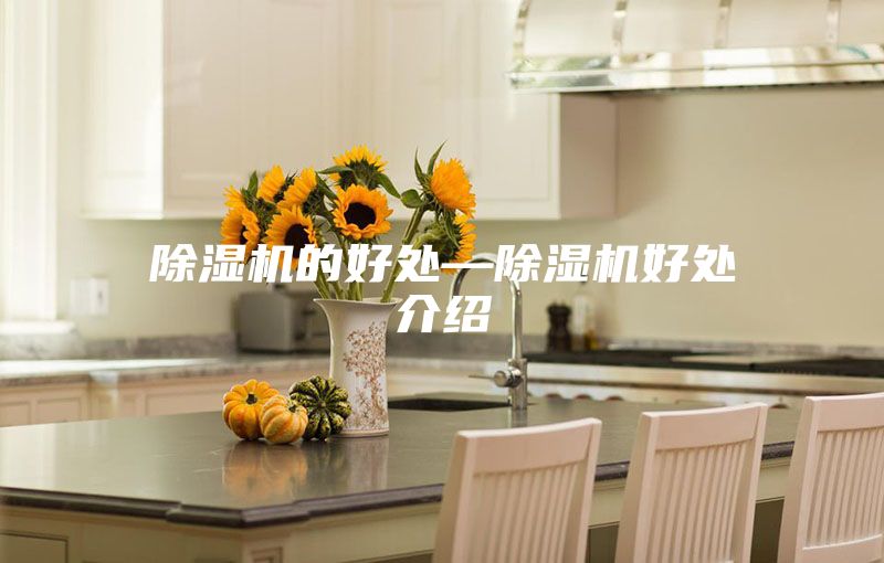 除濕機(jī)的好處—除濕機(jī)好處介紹