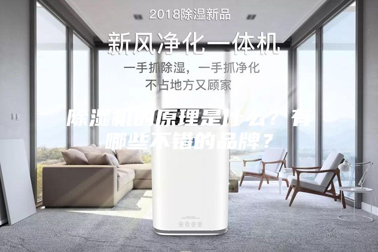 除濕機(jī)的原理是什么？有哪些不錯(cuò)的品牌？