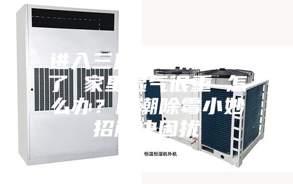 進入三月“春潮”來了 家里濕氣很重 怎么辦？防潮除霉小妙招解決困擾