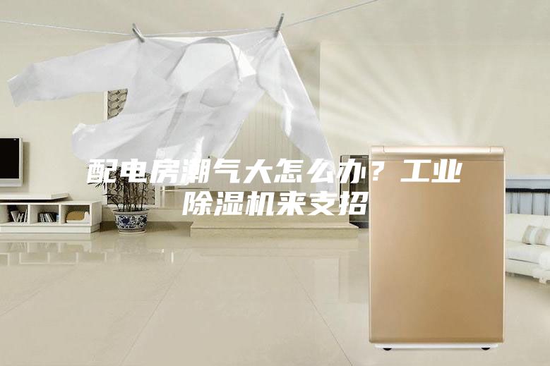 配電房潮氣大怎么辦？工業除濕機來支招