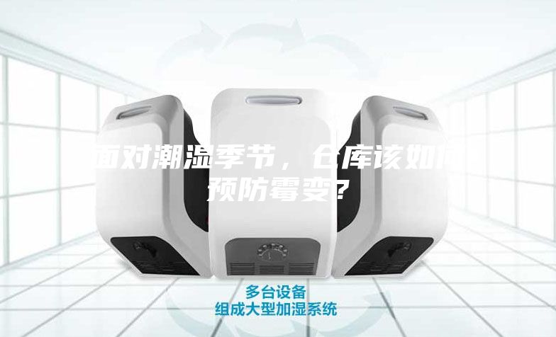 面對潮濕季節，倉庫該如何預防霉變？