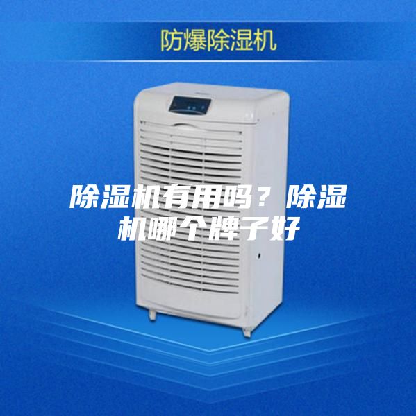 除濕機(jī)有用嗎？除濕機(jī)哪個牌子好