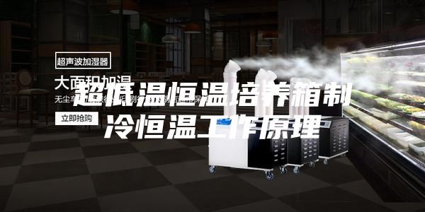超低溫恒溫培養箱制冷恒溫工作原理