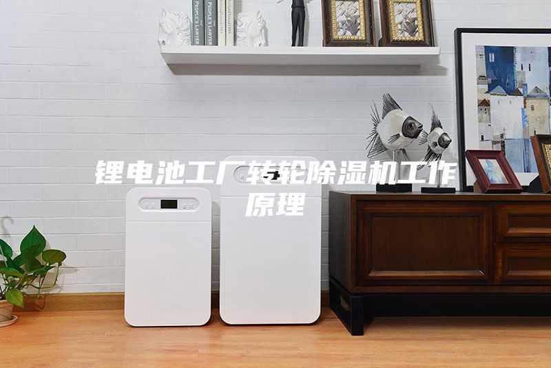 鋰電池工廠轉輪除濕機工作原理