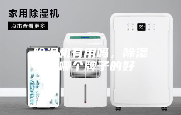 除濕機(jī)有用嗎，除濕機(jī)哪個牌子的好