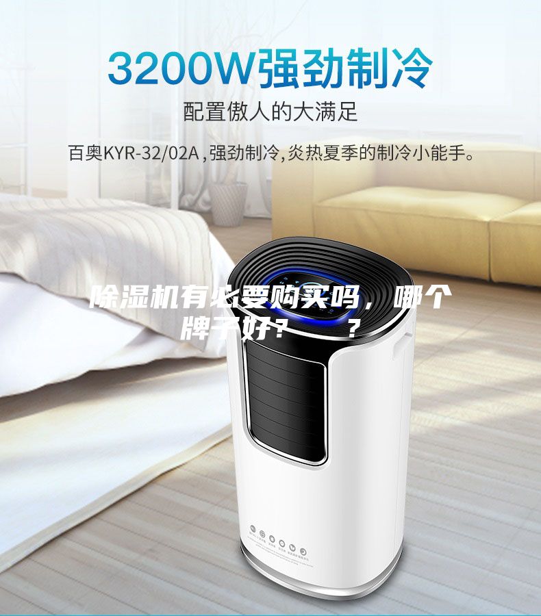 除濕機(jī)有必要購買嗎，哪個牌子好？  ？