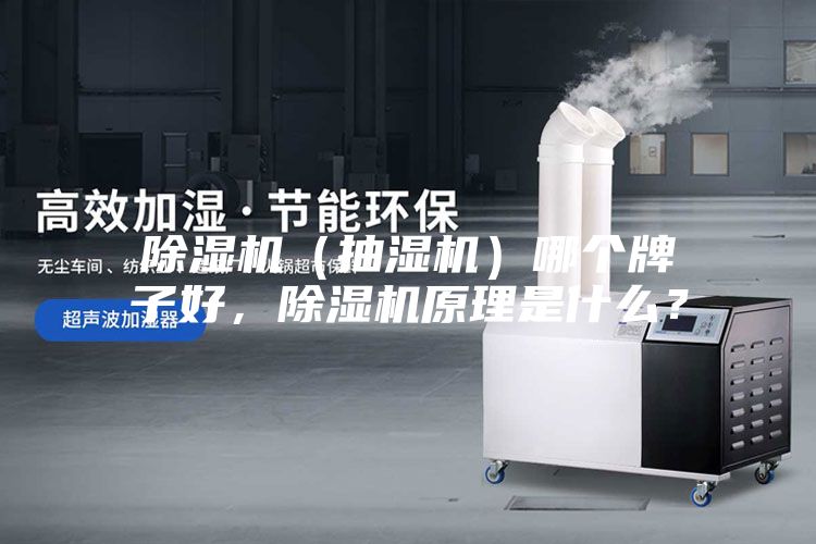 除濕機(jī)（抽濕機(jī)）哪個(gè)牌子好，除濕機(jī)原理是什么？