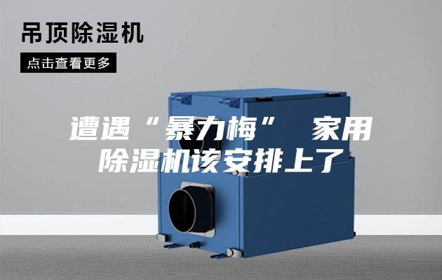 遭遇“暴力梅” 家用除濕機該安排上了
