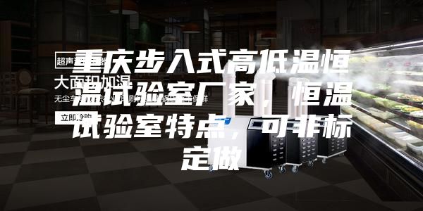 重慶步入式高低溫恒溫試驗室廠家，恒溫試驗室特點，可非標定做