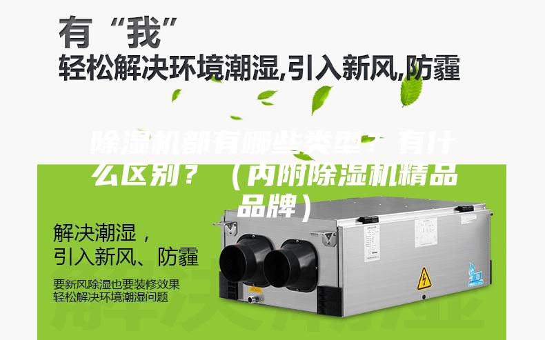 除濕機都有哪些類型？有什么區別？（內附除濕機精品品牌）